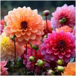 ee1221961ef33d4ce8a6104cd436ef5a